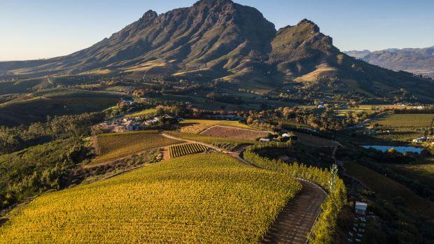 Delaire Graff Estate - Image 2 Delaire Graff Estate - Image 2